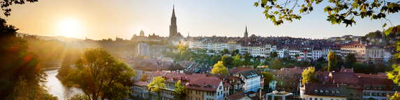 Bannerbild